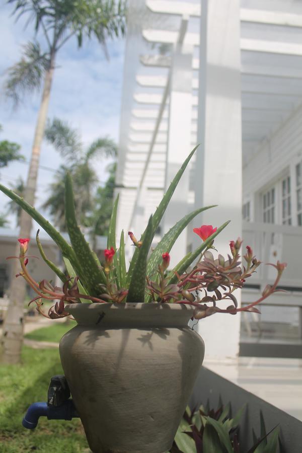 Hotel Casa Blanca Gili Air Extérieur photo